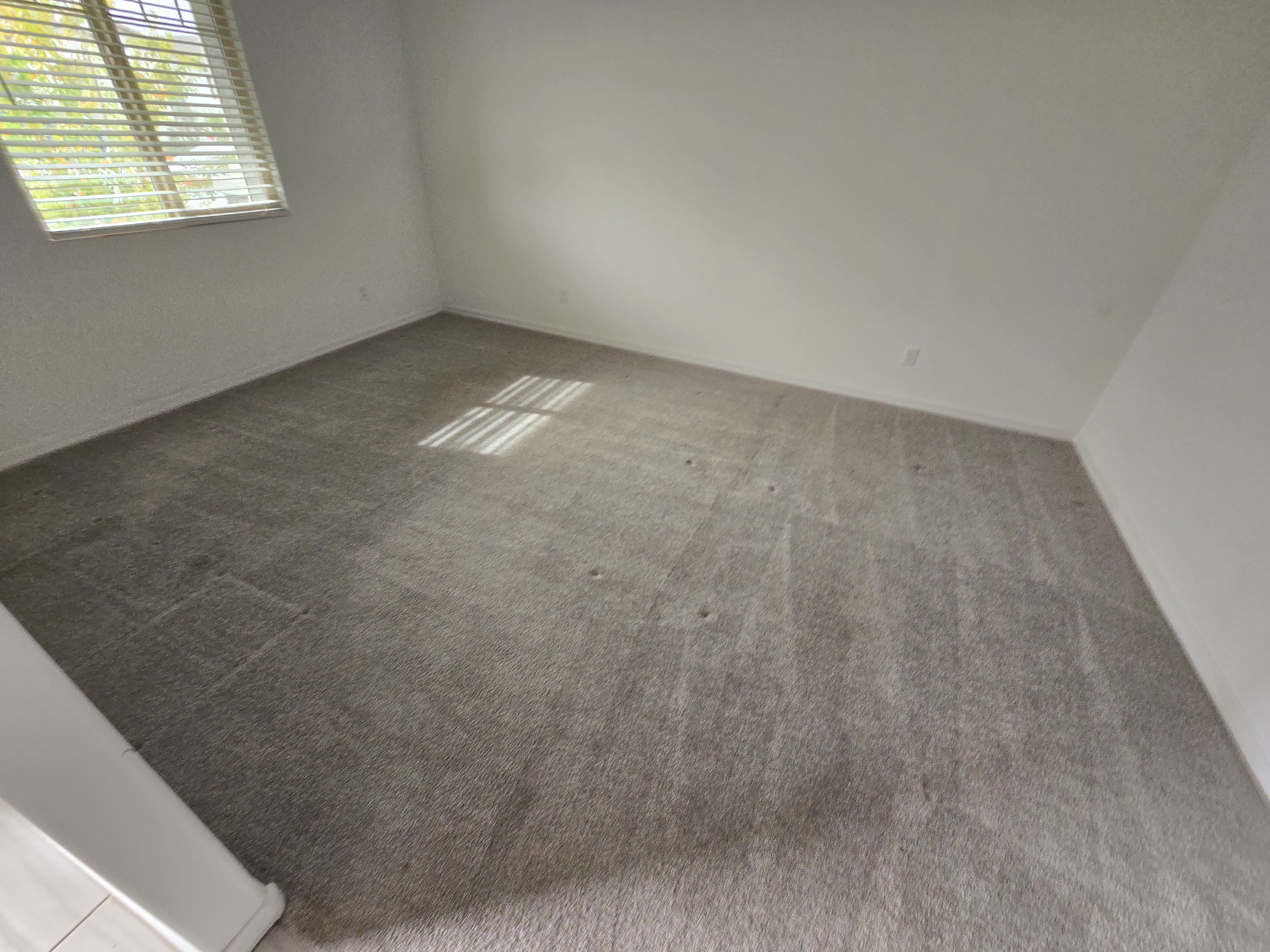 Arizona Carpet And Tile Steamers Image