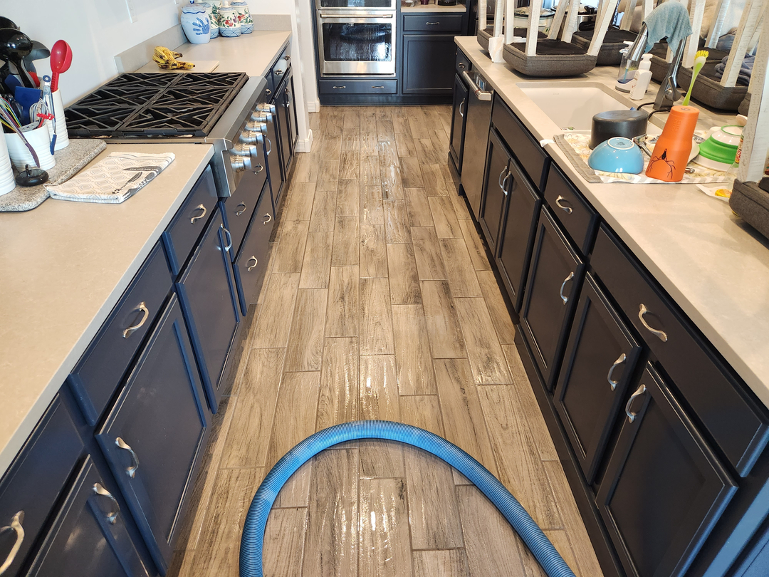 Arizona Carpet And Tile Steamers Image