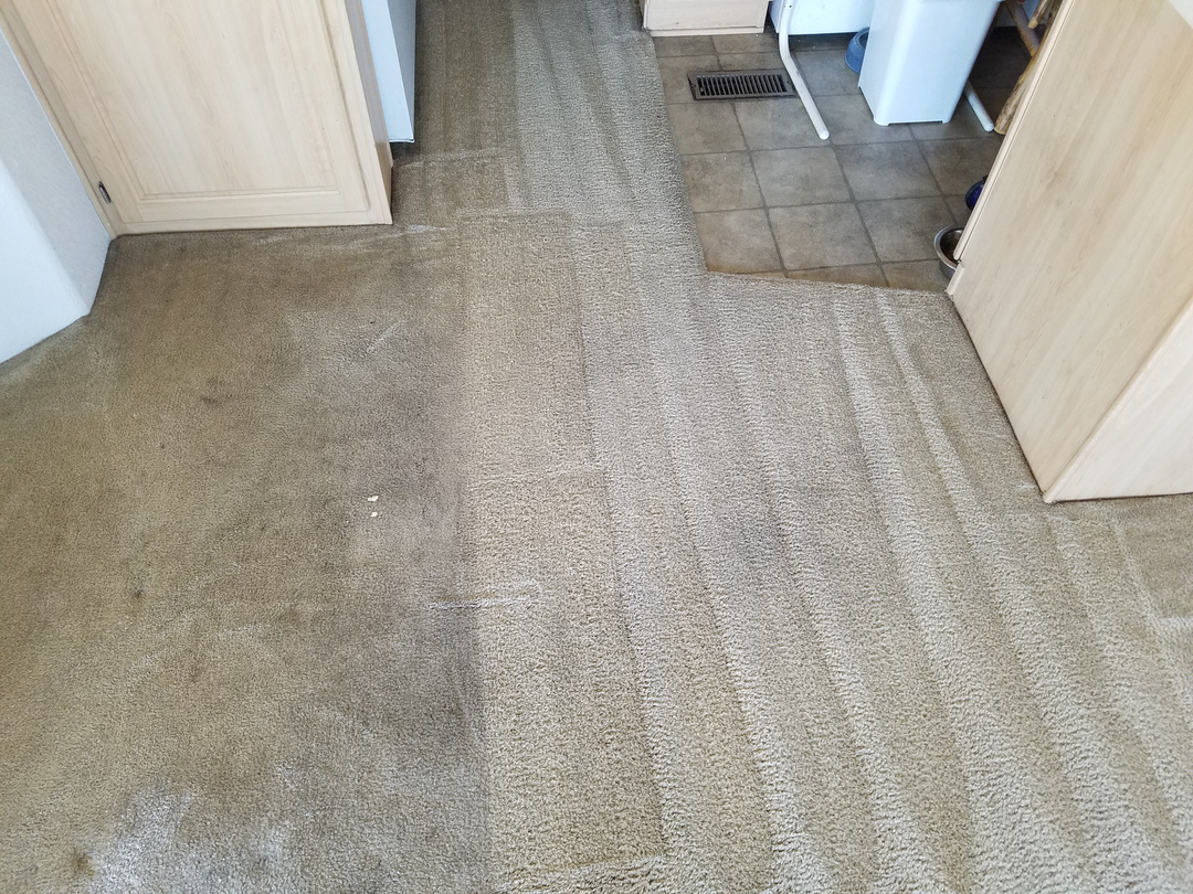 Arizona Carpet And Tile Steamers Image