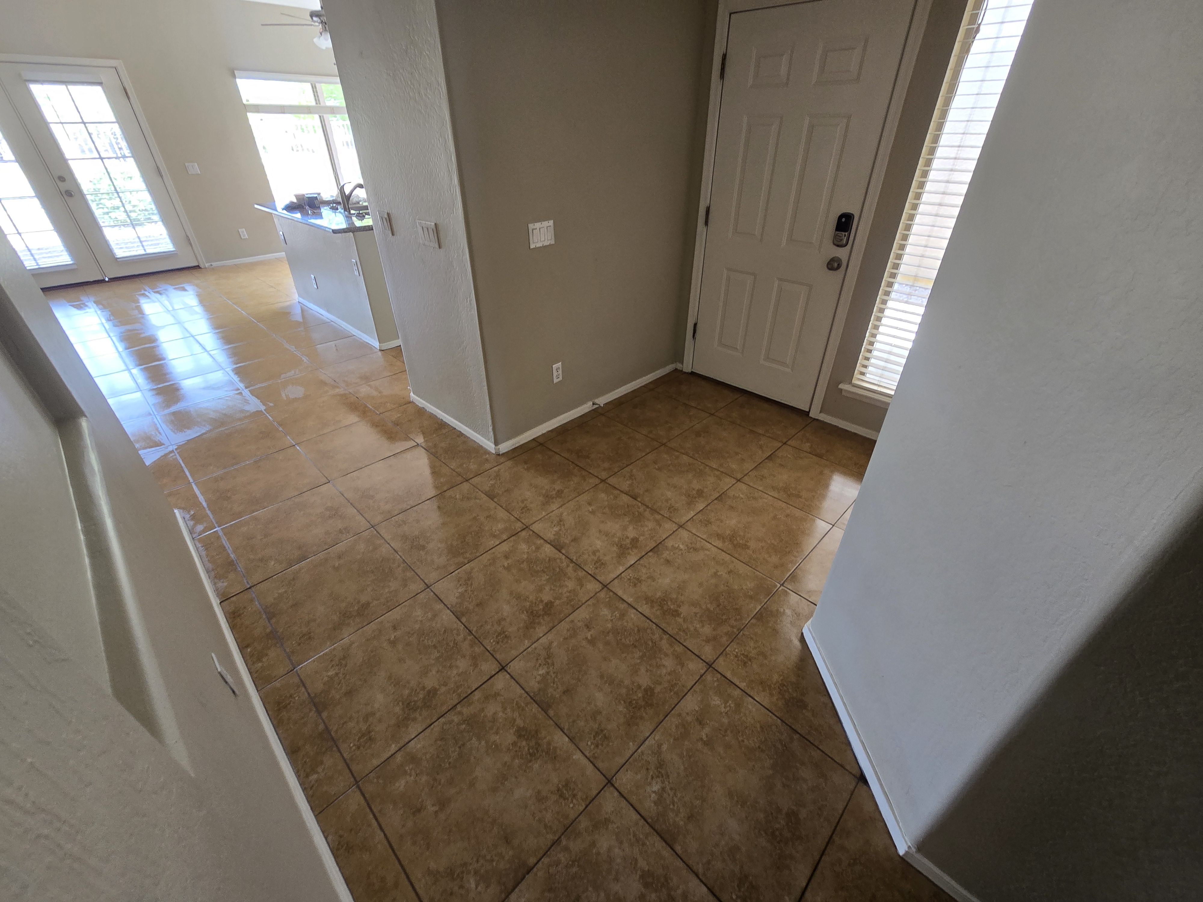 Arizona Carpet And Tile Steamers Image