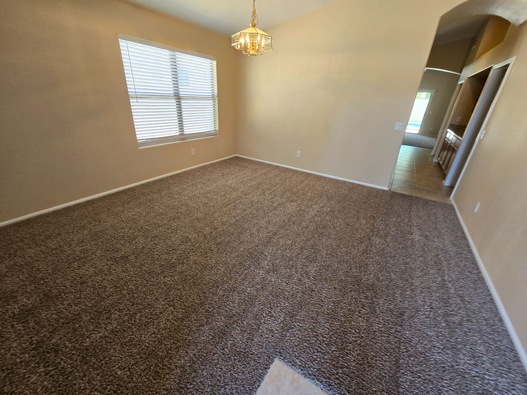 Arizona Carpet And Tile Steamers Image