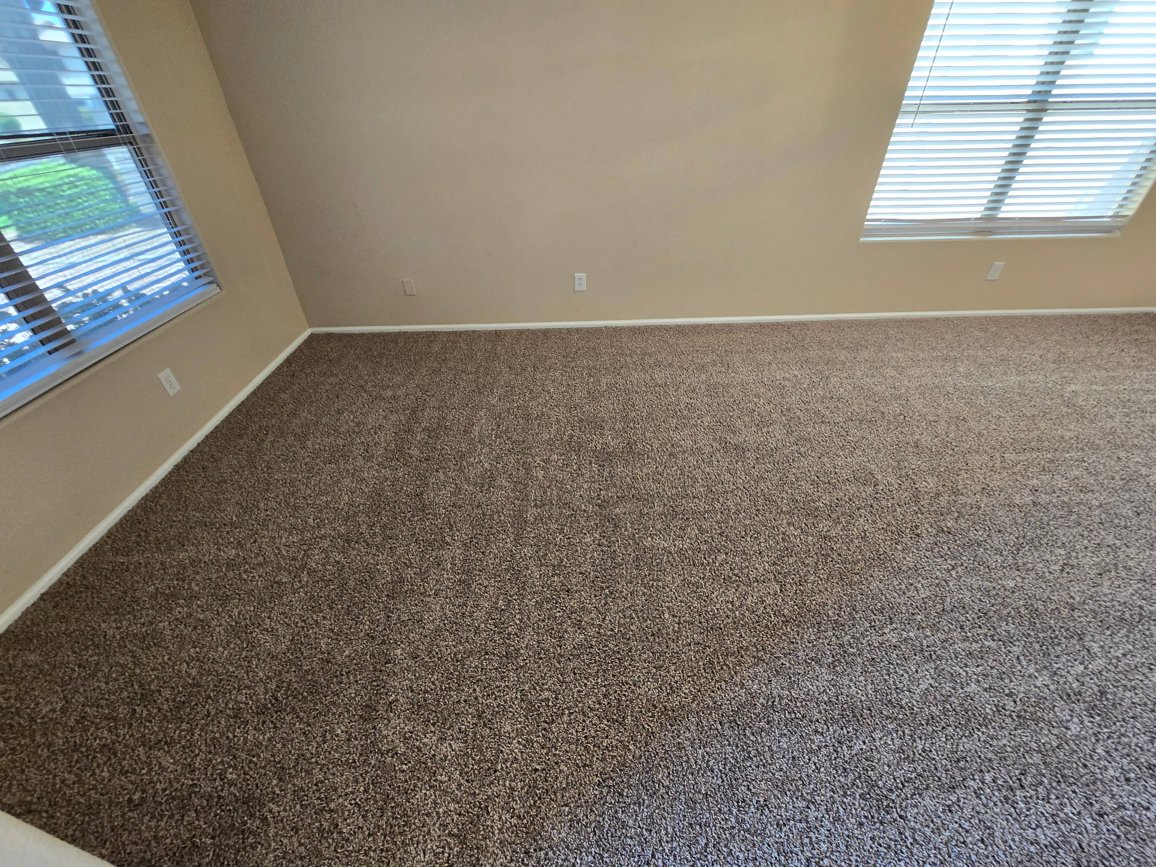 Arizona Carpet And Tile Steamers Image