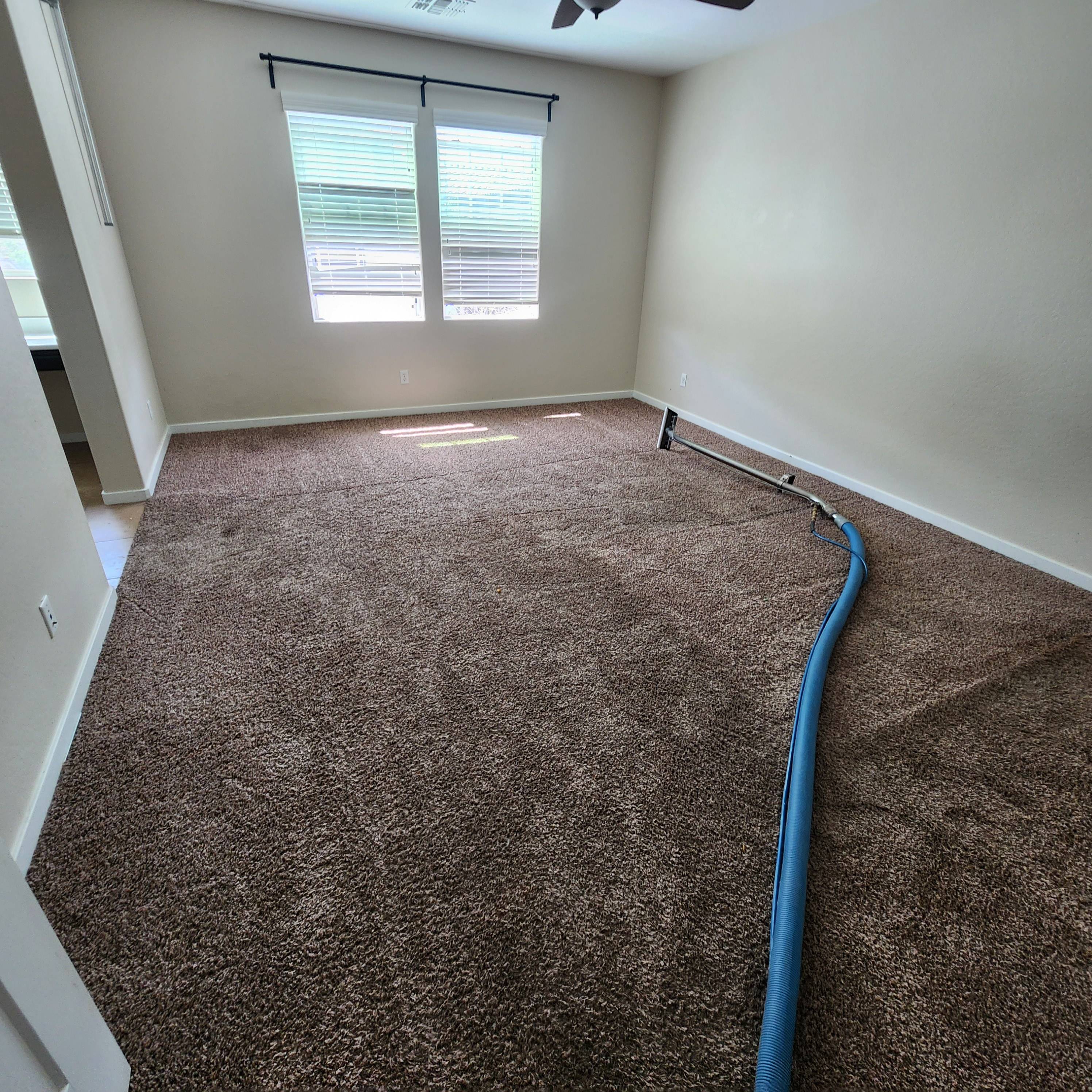 Arizona Carpet And Tile Steamers Image