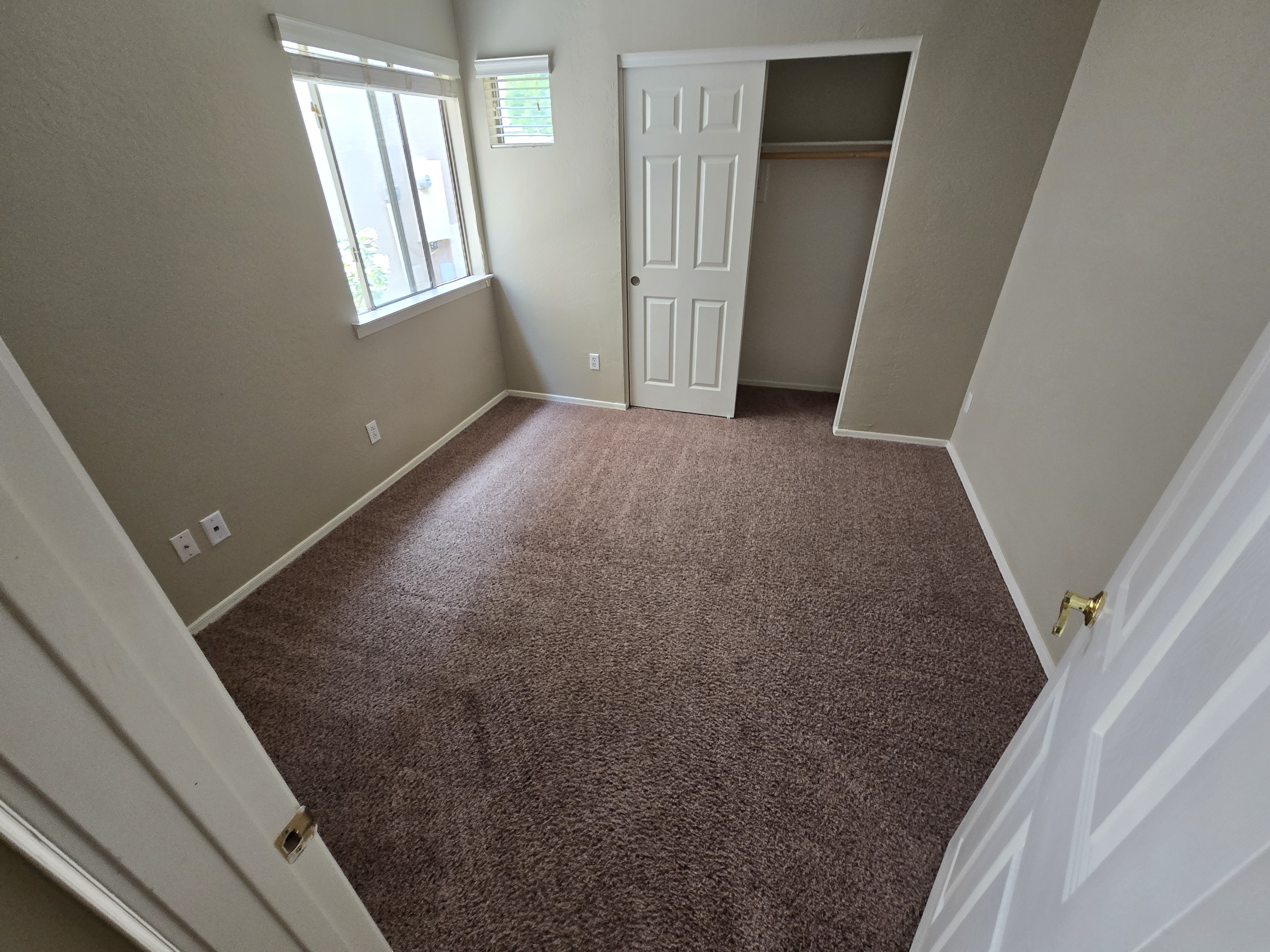 Arizona Carpet And Tile Steamers Image