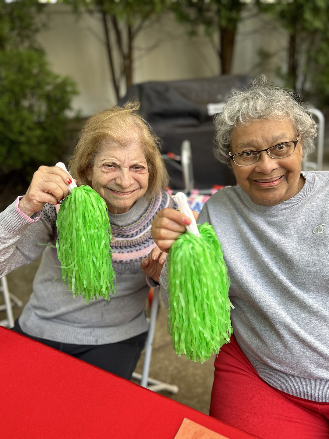 Atria Park of Lynbrook Image