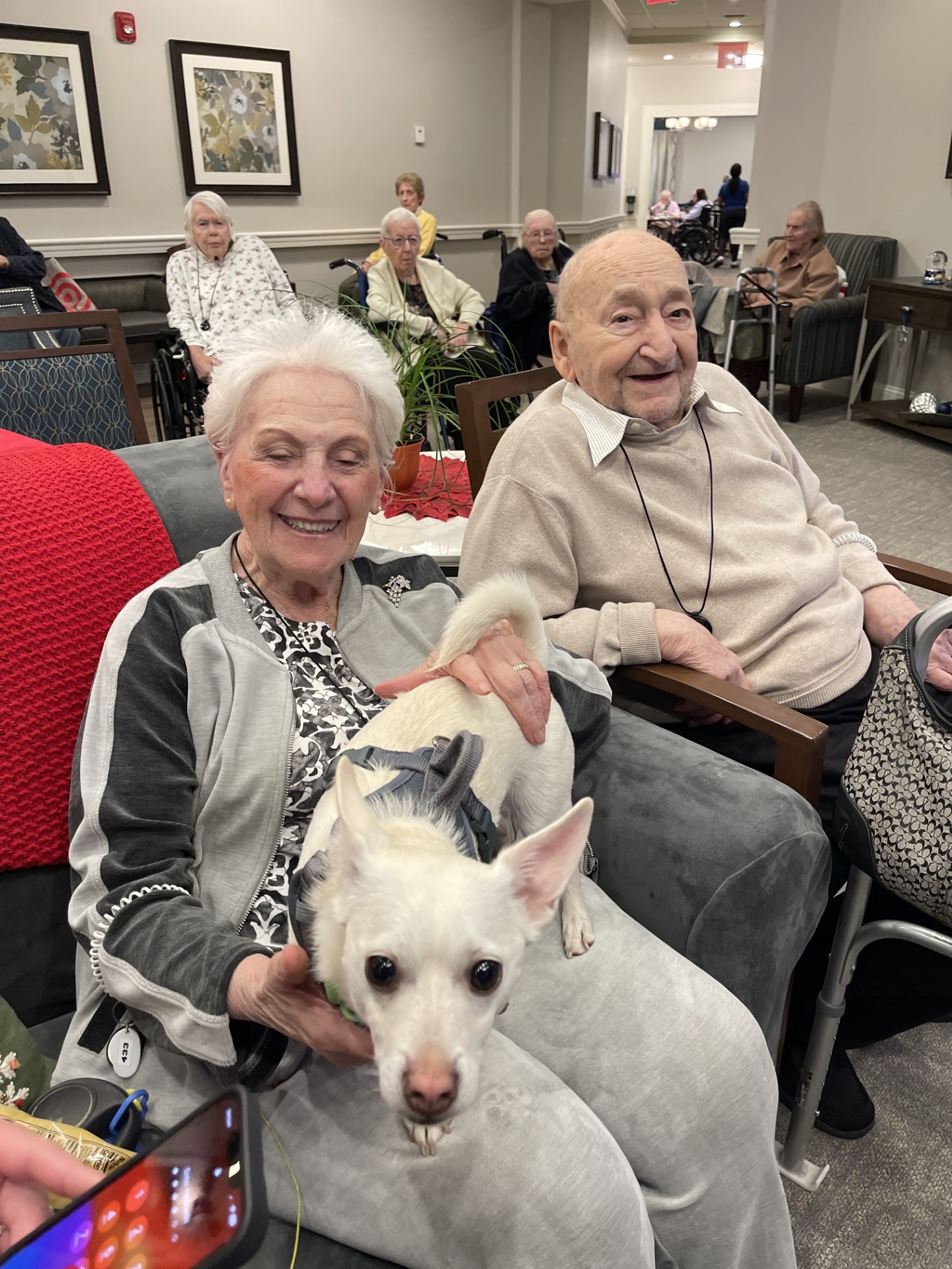 Atria Park of Lynbrook Image