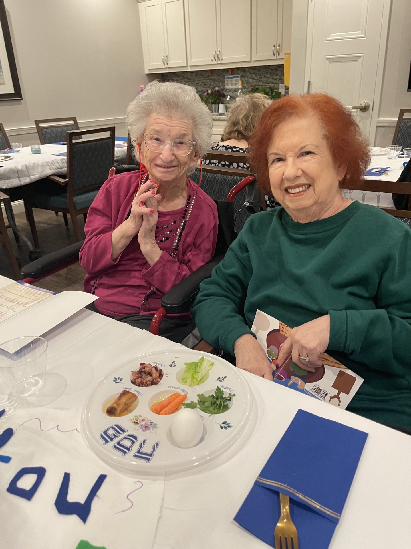 Atria Park of Lynbrook Image