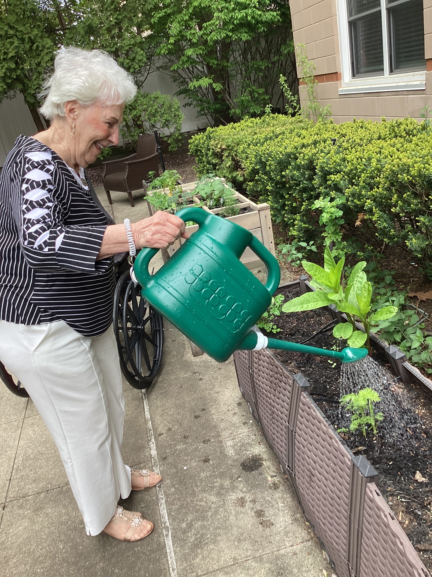 Atria Park of Lynbrook Image