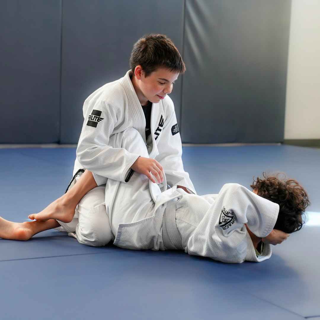 Lineage BJJ Image