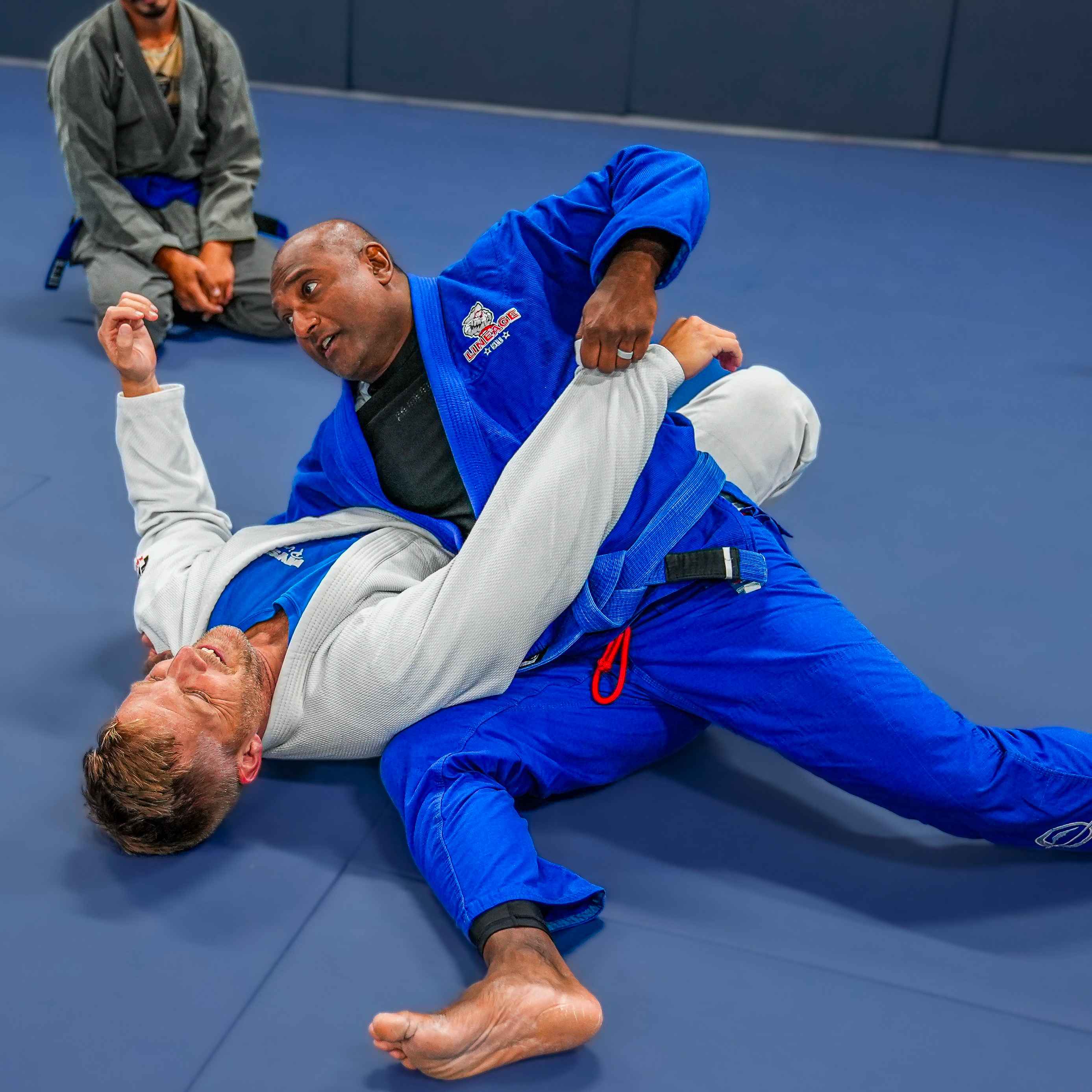 Lineage BJJ Image