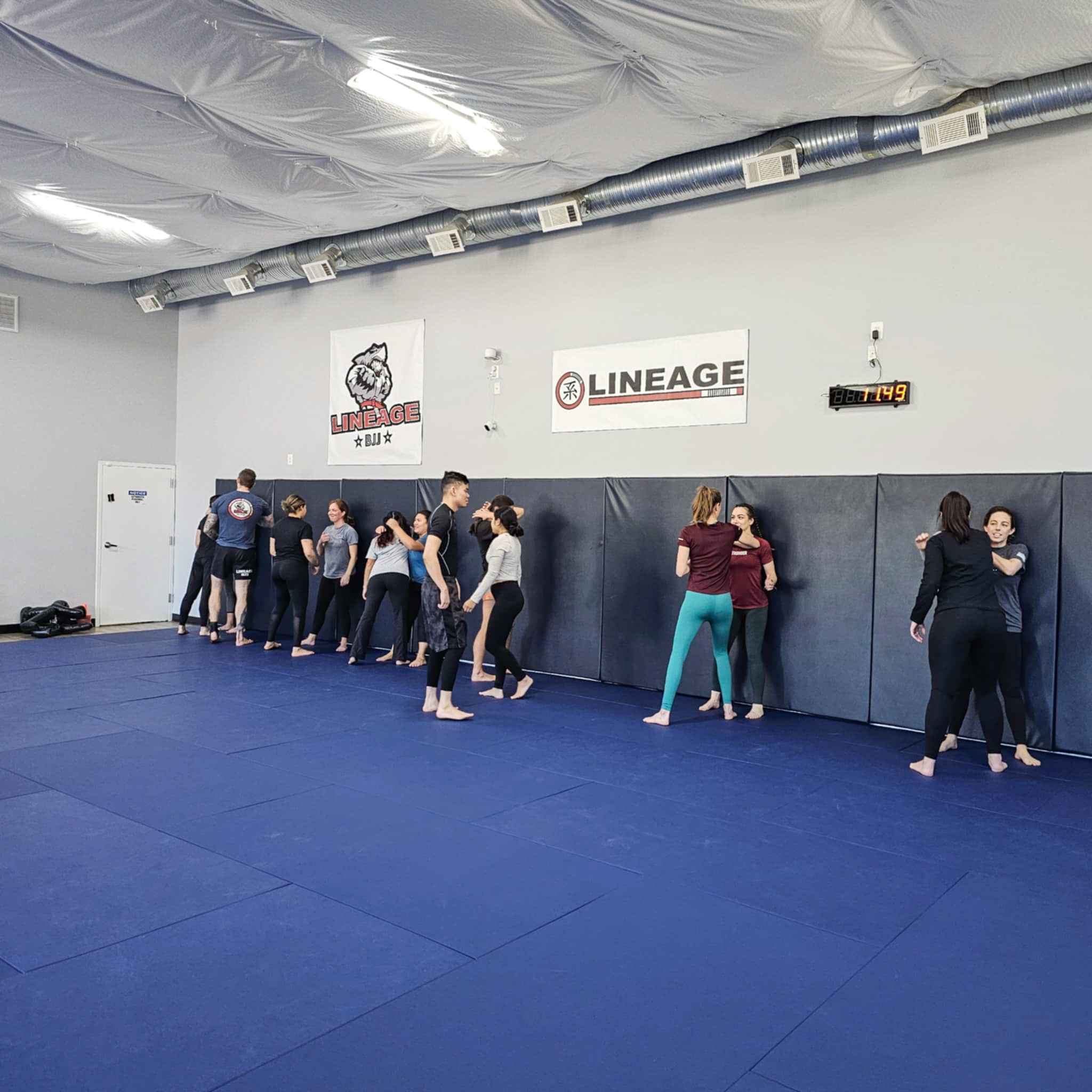 Lineage BJJ Image