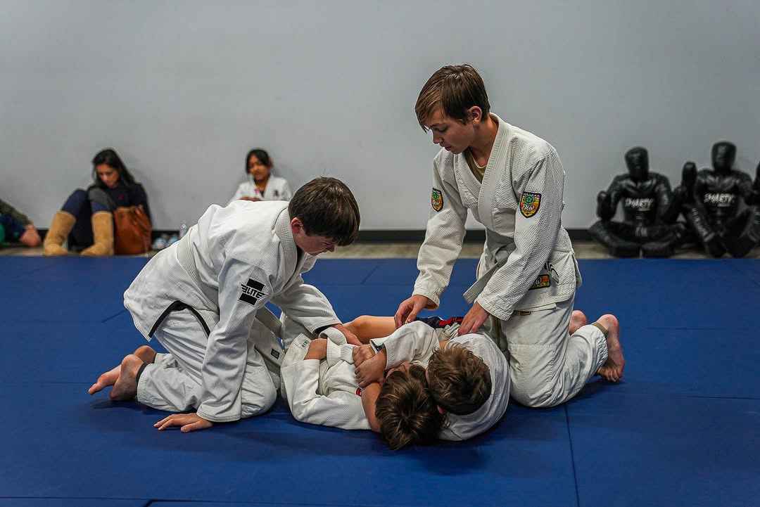 Lineage BJJ Image