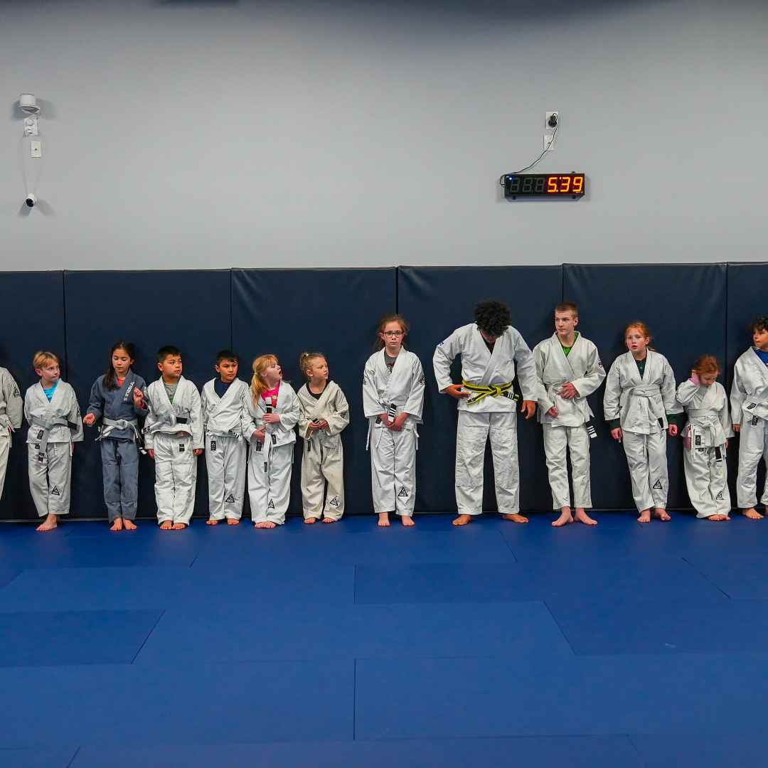 Lineage BJJ Image