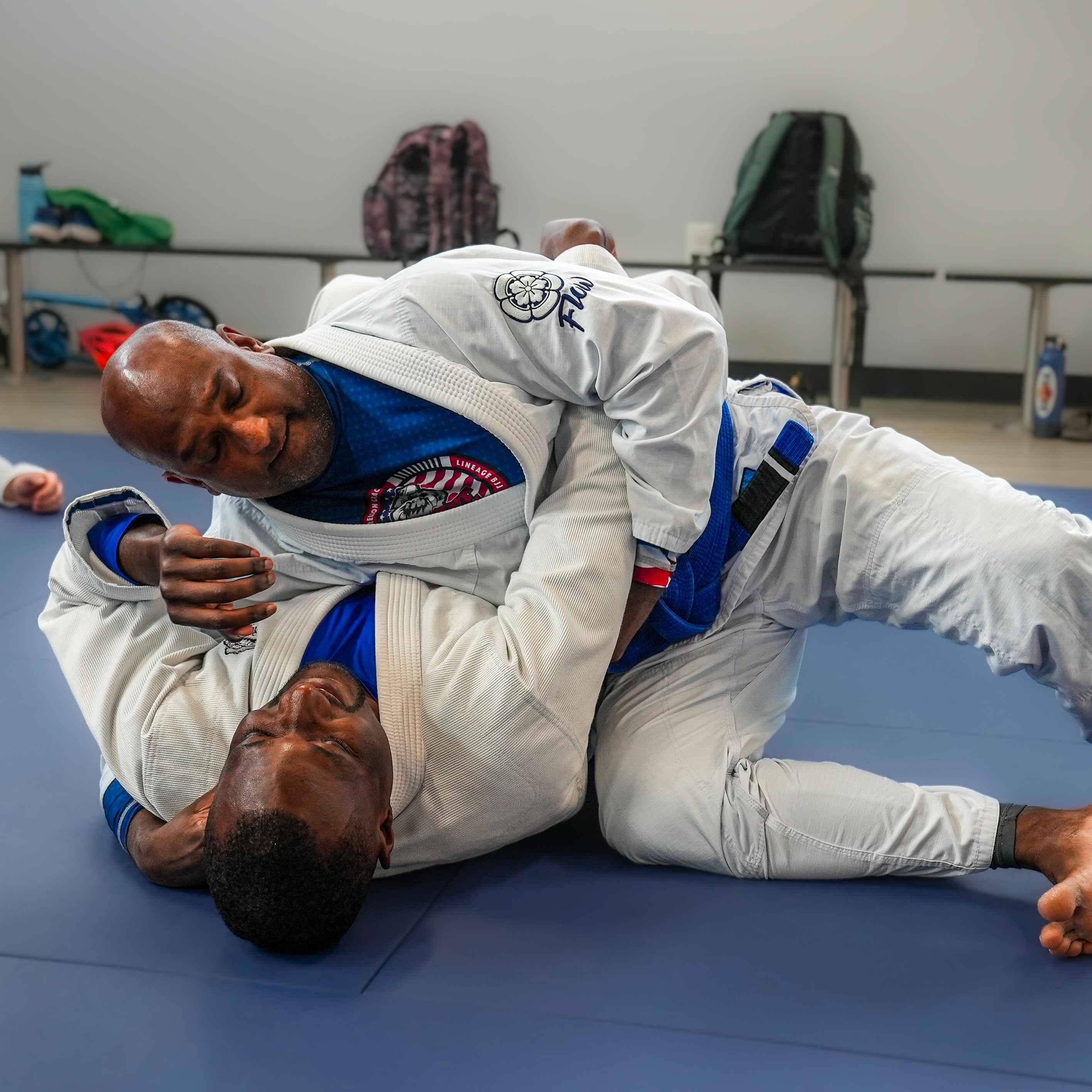 Lineage BJJ Image