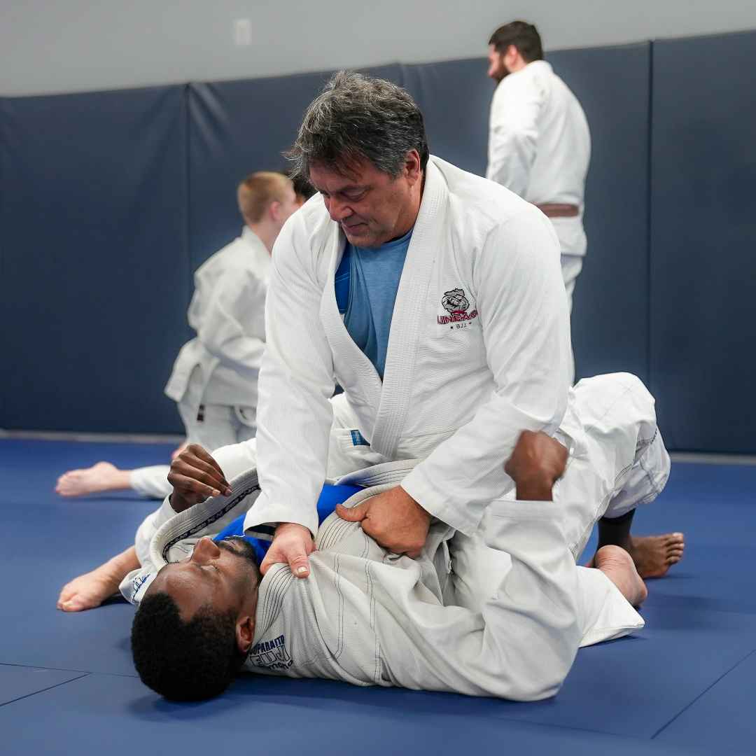 Lineage BJJ Image