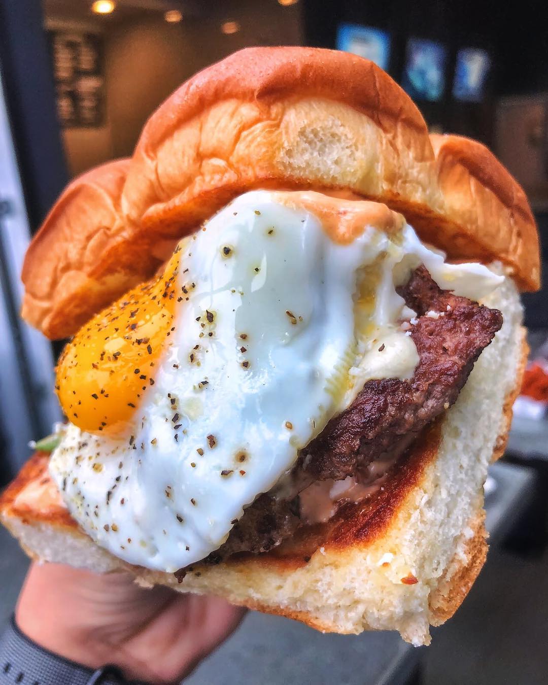 Dog Haus Image