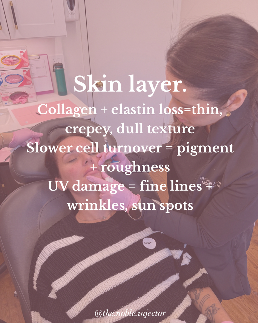 Noble Aesthetics Image