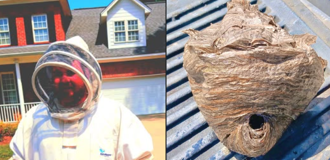 All Things Wild DP, LLC - Columbia SC - Columbia, SC