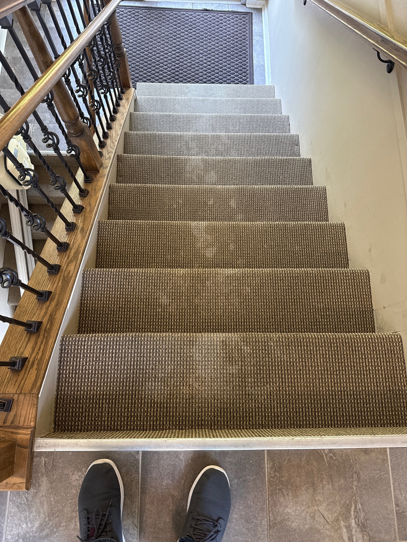 Allaire Chem-Dry Image