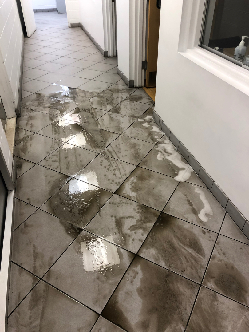 Allaire Chem-Dry Image