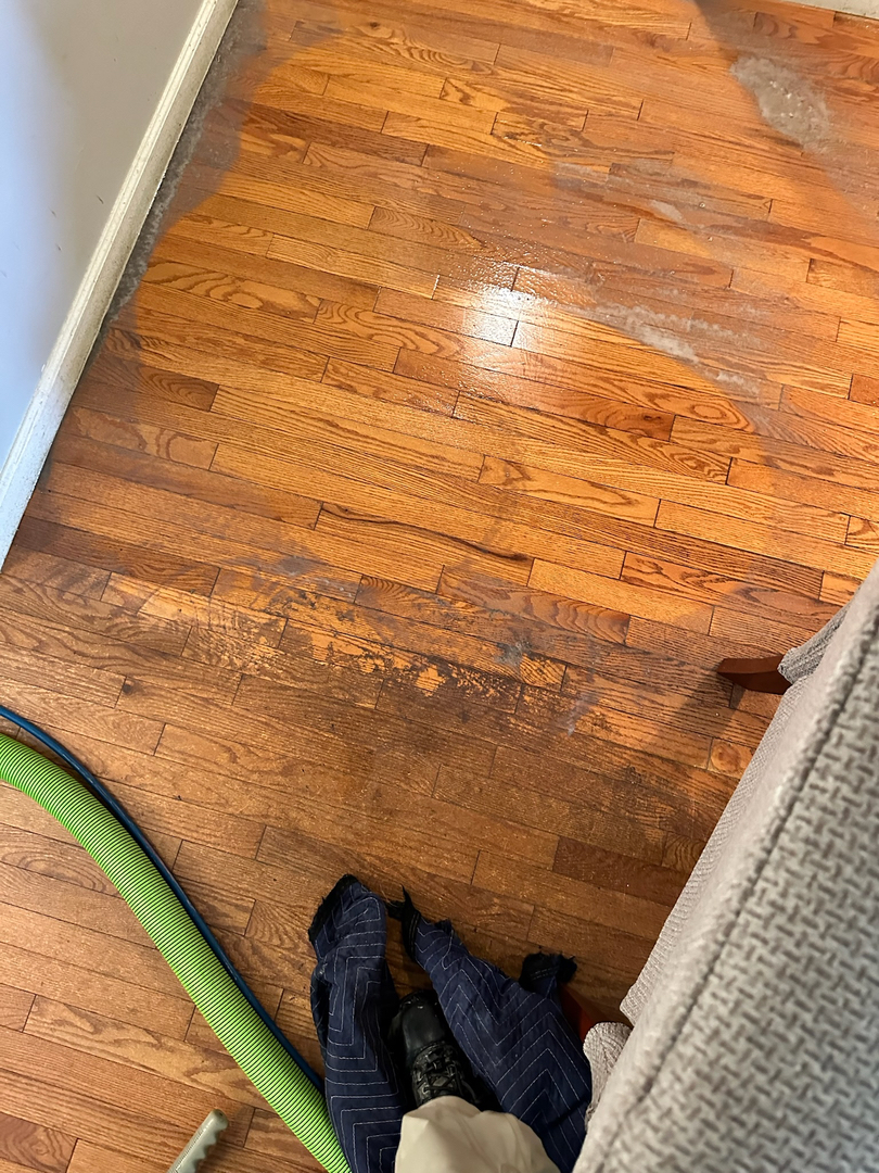 Allaire Chem-Dry Image