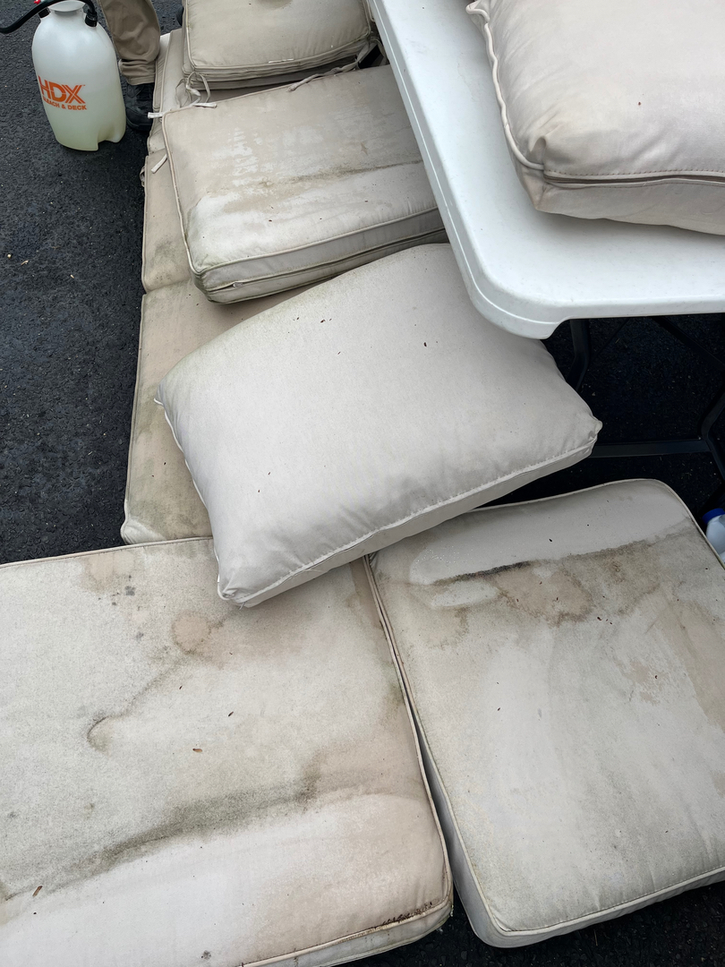 Allaire Chem-Dry Image