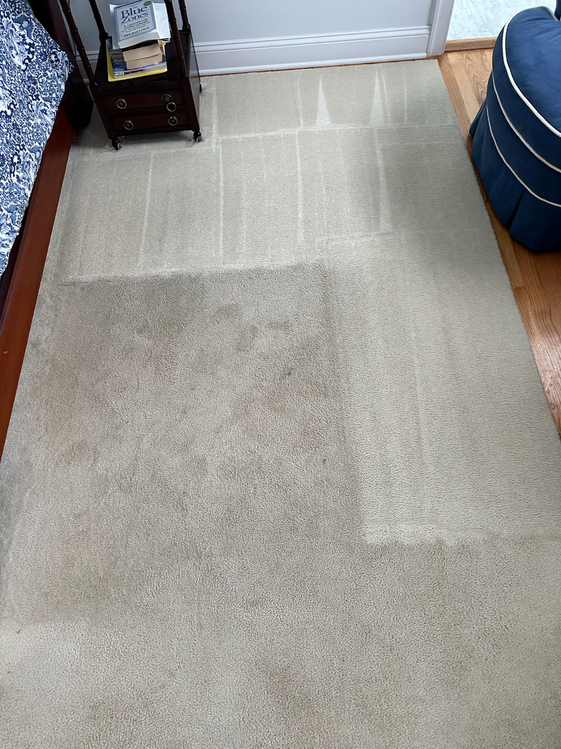 Allaire Chem-Dry Image