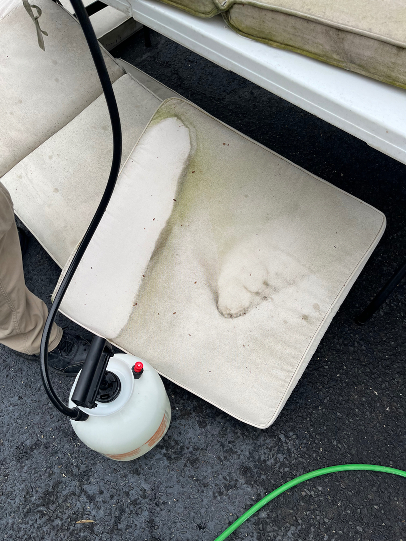 Allaire Chem-Dry Image