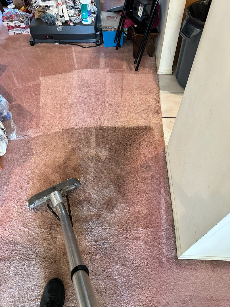 Allaire Chem-Dry Image