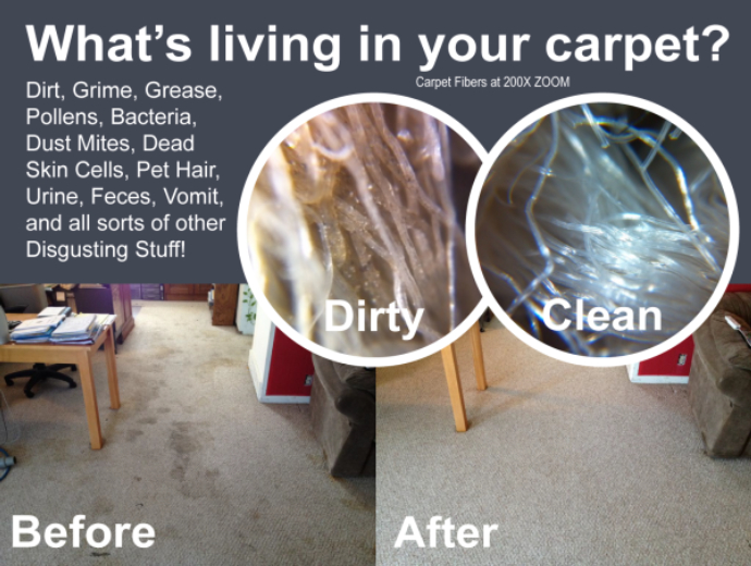 Allaire Chem-Dry Logo