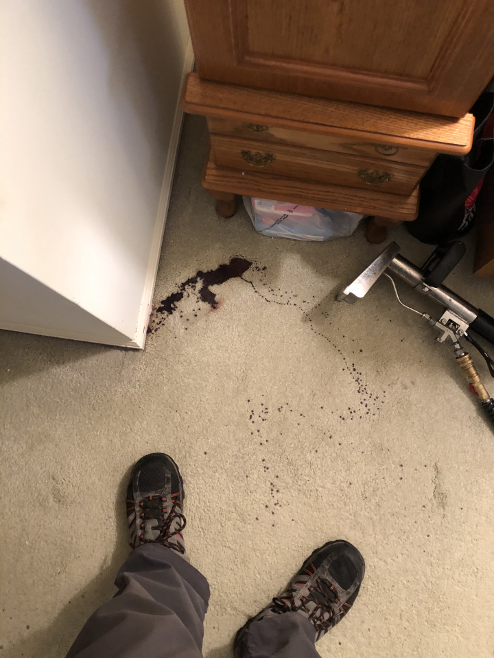 Allaire Chem-Dry Image