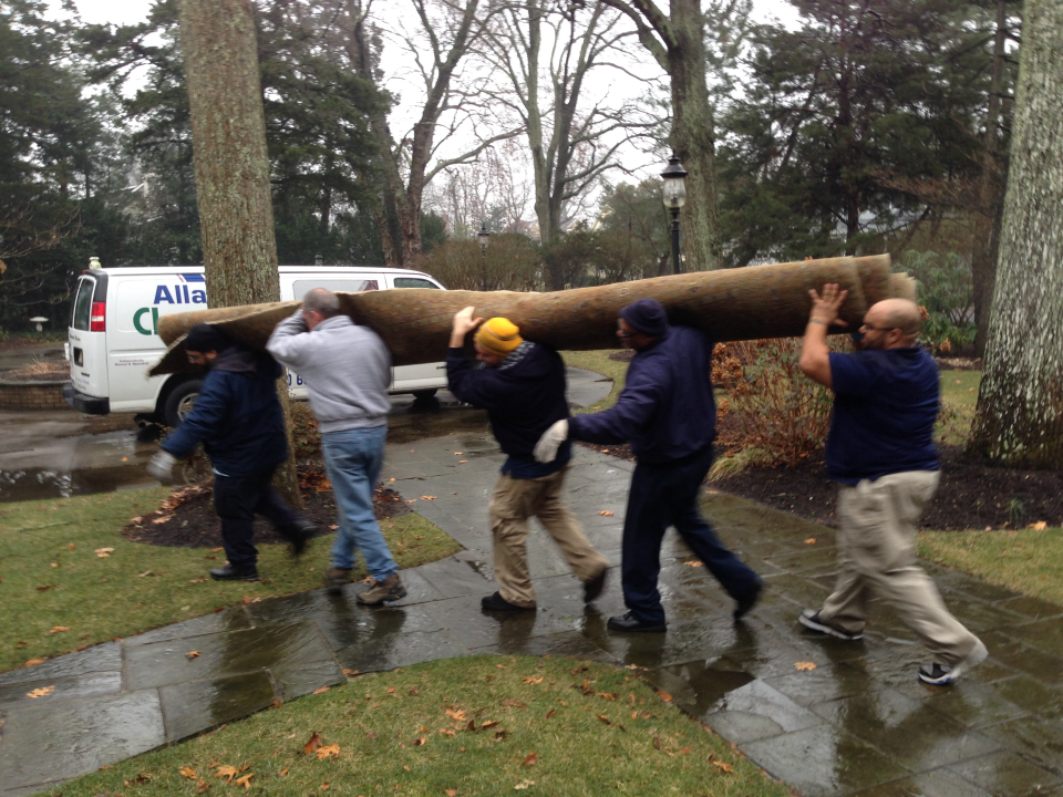 Allaire Chem-Dry Image