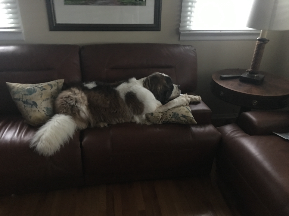 Allaire Chem-Dry Image