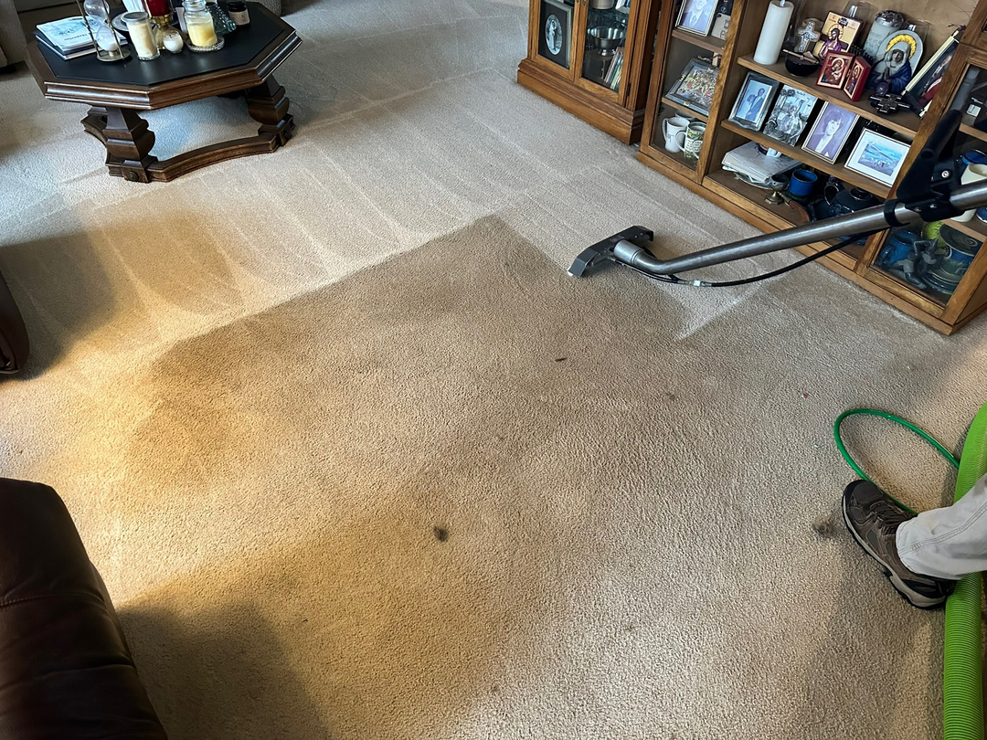 Allaire Chem-Dry Image