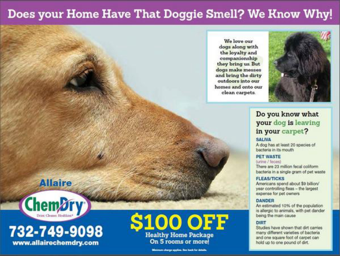 Allaire Chem-Dry Image