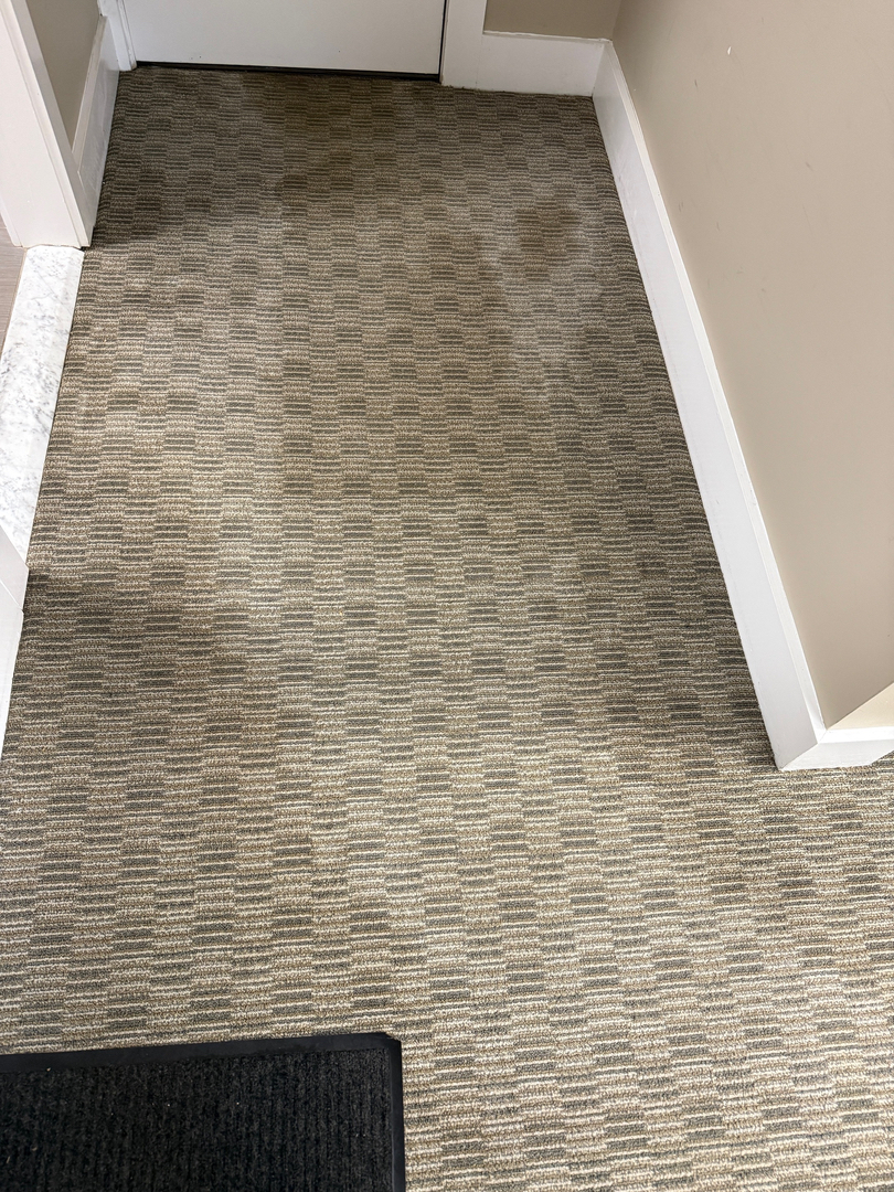 Allaire Chem-Dry Image