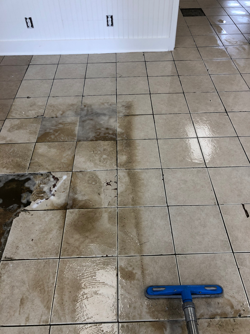 Allaire Chem-Dry Image