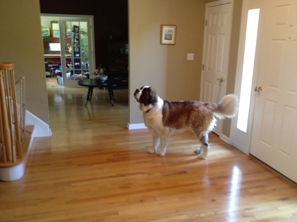 Allaire Chem-Dry Image