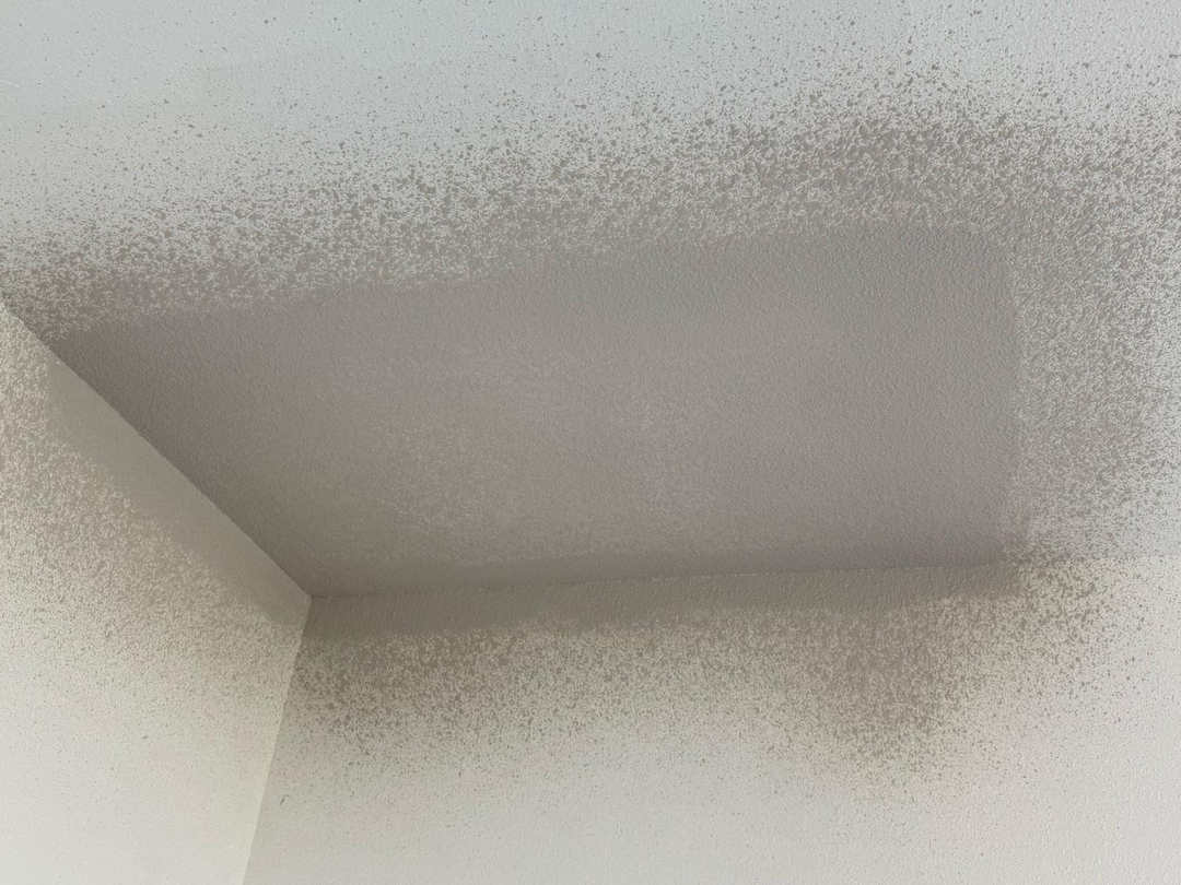 Stone Drywall Solutions Image