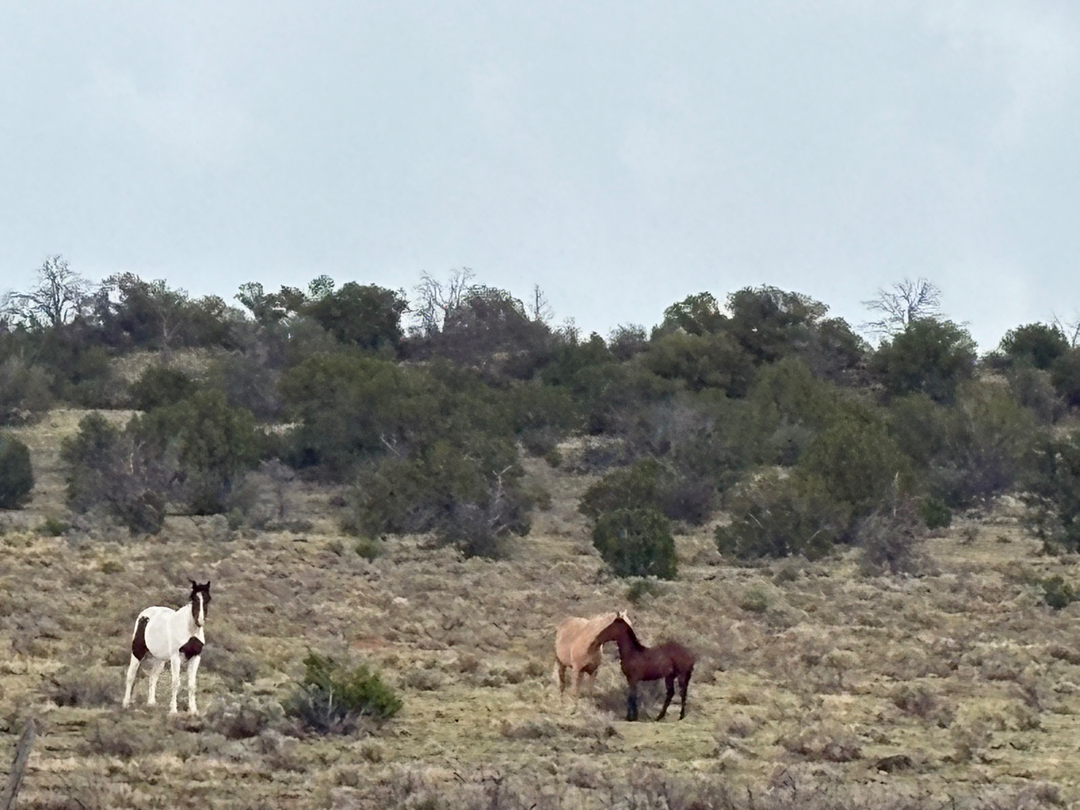 Flagstaff Foot Doctors: Anthony Rosales DPM - Flagstaff, AZ