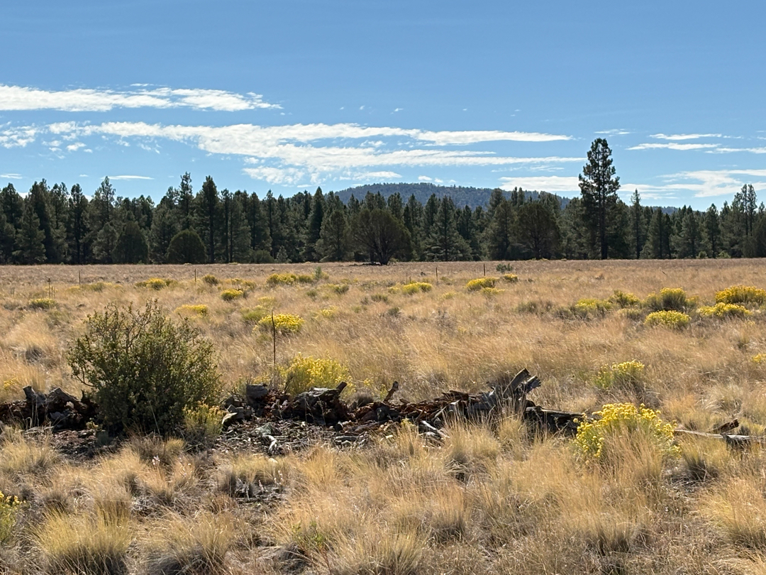 Flagstaff Foot Doctors: Anthony Rosales DPM - Flagstaff, AZ