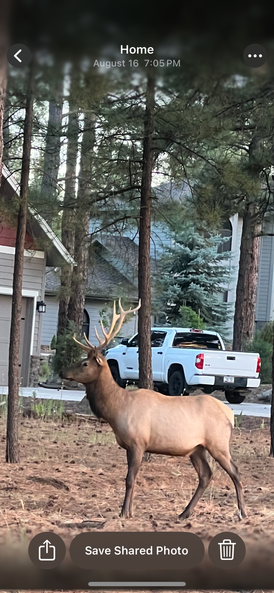 Flagstaff Foot Doctors: Anthony Rosales DPM - Flagstaff, AZ