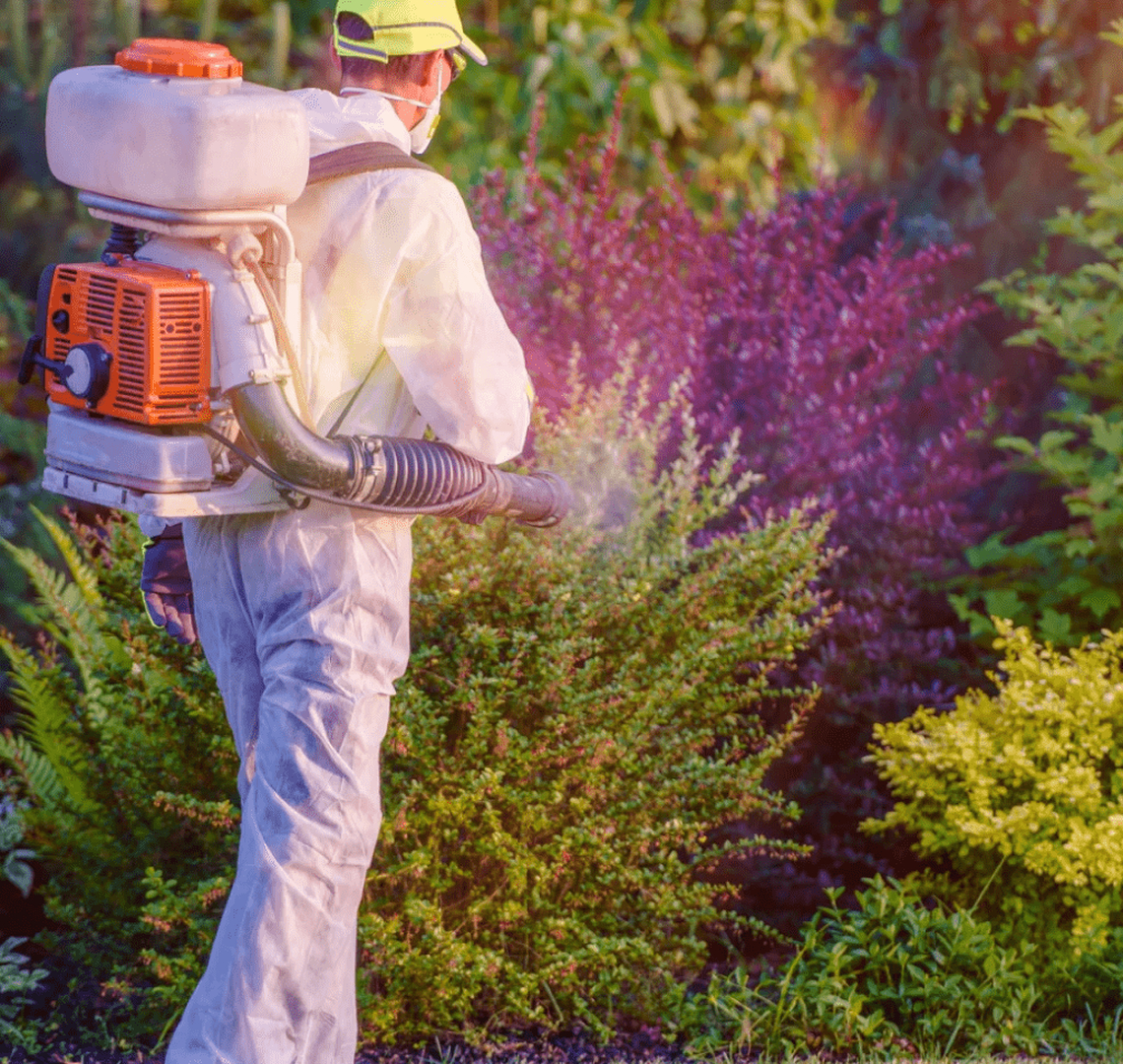 Rooted Pest Control - Bremen, GA