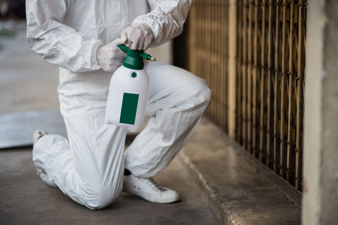 Rooted Pest Control - Bremen, GA
