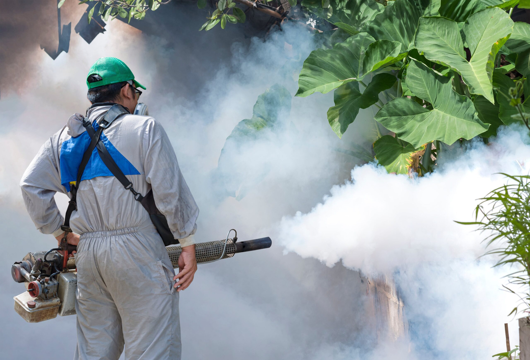 Rooted Pest Control - Bremen, GA