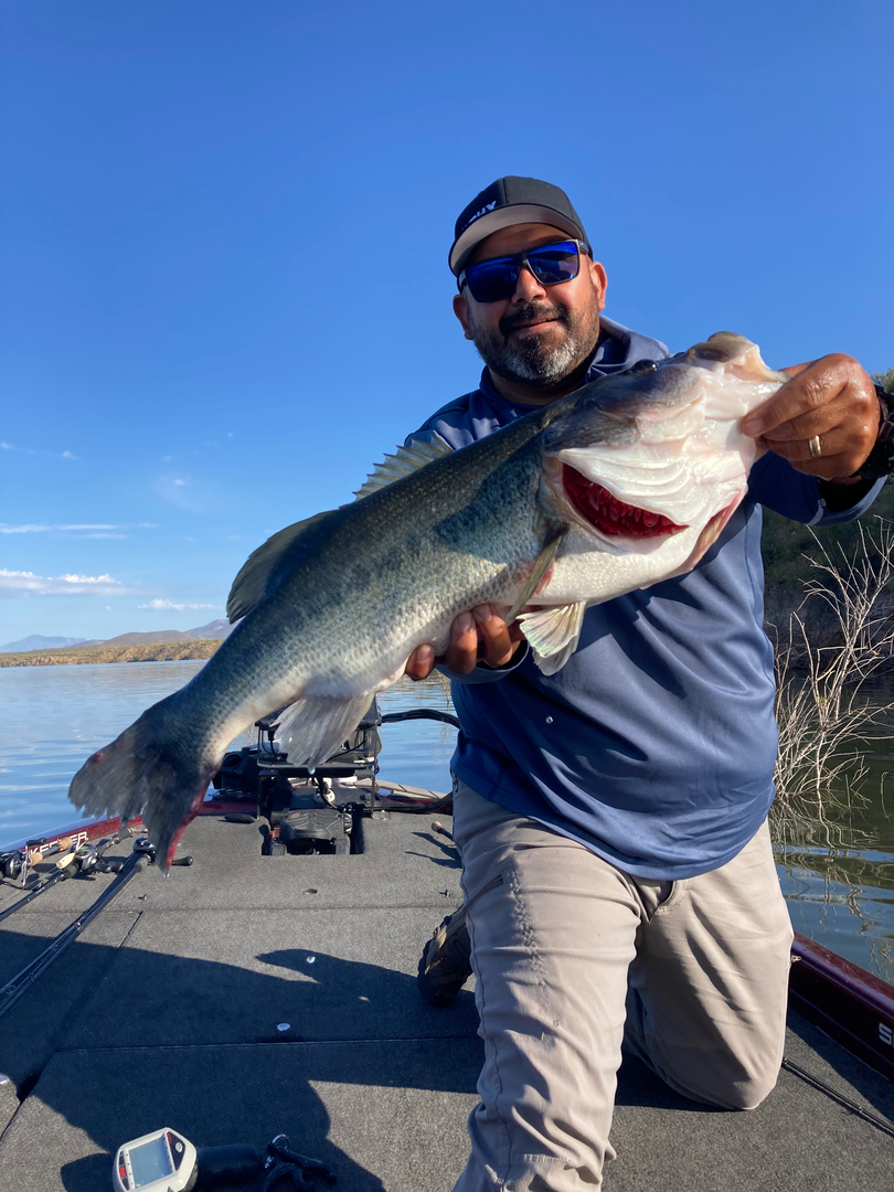 FishIn48 - Peoria, AZ