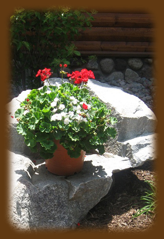 MK Landscape Company Image