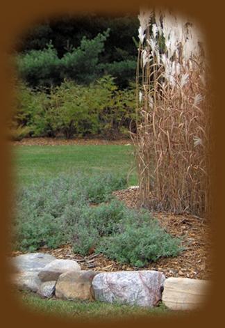 MK Landscape Company Image