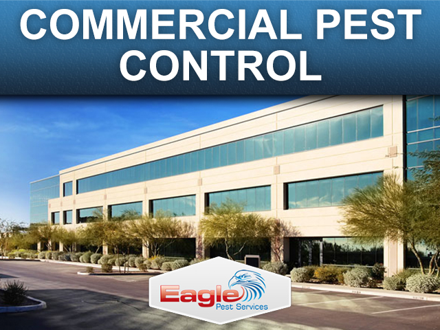 Eagle Pest Services - Warrenton, VA