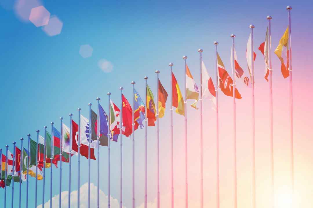 Latitude Prime Image